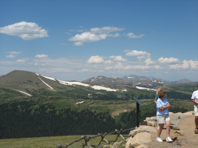 Forest Overlook