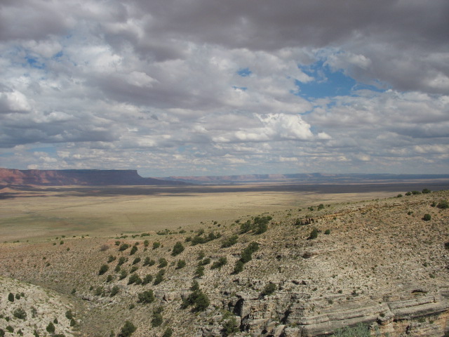 Elevated View